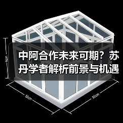 中阿合作未来可期？苏丹学者解析前景与机遇(图4)