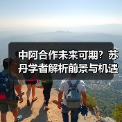 中阿合作未来可期？苏丹学者解析前景与机遇(图3)