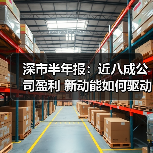 深市半年报揭晓：营收净利双增长，创新动能 - 玄熵百博咨询