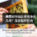 美国对华加征关税将如何影响全球贸易？-玄熵百博咨询(图3)