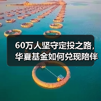 基金定投两年数据亮眼，如何用专业陪伴实现 - 玄熵百博咨询