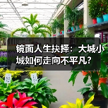 镜面人生抉择：大城小城如何走向不平凡？(图3)