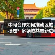 中阿合作如何推动区域稳定？多领域共赢新进展(图2)