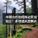 中阿合作如何推动区域稳定？多领域共赢新进展(图4)