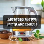 中欧班列突破9万列,经贸发展如何借力?(图2) 中欧班列突破9万列,经贸发展如何借力?(图2)