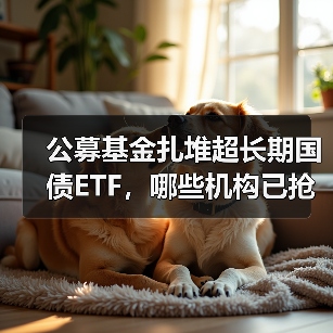 公募基金扎堆超长期国债ETF，哪些机构已抢先入场？(图2)