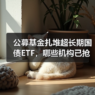 公募基金扎堆超长期国债ETF，哪些机构已抢先入场？(图4)