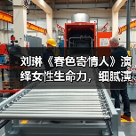 刘琳演绎“梦中情妈”：坚韧生活智慧打动观 - 玄熵百博咨询