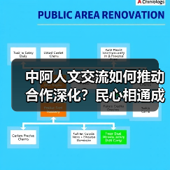 中阿人文交流如何推动合作深化?民心相通成发展基石(图4) 中阿人文交流如何推动合作深化?民心相通成发展基石(图4)