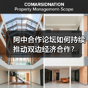 阿中合作论坛如何持续推动双边经济合作?(图2) 阿中合作论坛如何持续推动双边经济合作?(图2)