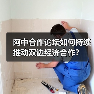 阿中合作论坛如何持续推动双边经济合作？ - 玄熵百博咨询