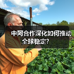 中阿合作深化如何推动全球稳定?(图1) 中阿合作深化如何推动全球稳定?(图1)