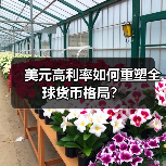 美元高利率如何重塑全球货币格局？ - 玄熵百博咨询