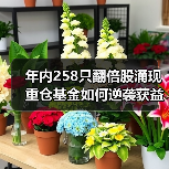 年内258只翻倍股涌现 重仓基金如何逆袭获益?(图1) A股翻倍股成基金掘金宝地?这些牛股引重仓狂揽收益-玄熵百博咨询(图1)