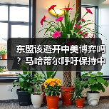 东盟该避开中美博弈吗?马哈蒂尔呼吁保持中立(图4) 马哈蒂尔发声:美国挑动台海局势,东盟如何保持中立?-玄熵百博咨询(图4)