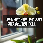 超长期特别国债个人购买额度售罄引关注(图4) 超长期特别国债个人购买额度售罄引关注(图4)