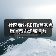 社区商业REITs首秀点燃消费市场新活力(图3) 社区商业REITs首秀点燃消费市场新活力(图3)