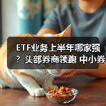 ETF业务上半年哪家强?头部券商领跑 中小券商细分赛道突围(图4) ETF业务上半年哪家强?头部券商领跑 中小券商细分赛道突围(图4)