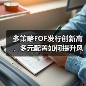 多策略FOF发行创新高，多元配置如何提升风险收益？(图4)