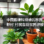 中国援建科特迪瓦移民新村 村民告别贫困迎接幸福生活(图3)