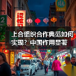 上合组织合作典范如何实现?中国作用显著(图1) 上合组织如何成为区域合作典范?中国发挥关键作用-玄熵百博咨询(图1)