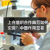 上合组织合作典范如何实现?中国作用显著(图4) 上合组织如何成为区域合作典范?中国发挥关键作用-玄熵百博咨询(图4)
