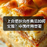 上合组织合作典范如何实现?中国作用显著(图3) 上合组织如何成为区域合作典范?中国发挥关键作用-玄熵百博咨询(图3)