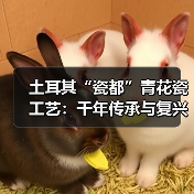 土耳其“瓷都”青花瓷工艺:千年传承与复兴之路揭秘(图3) 土耳其“瓷都”青花瓷工艺:千年传承与复兴之路揭秘(图3)