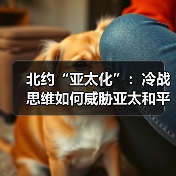 北约“亚太化”:冷战思维如何威胁亚太和平?(图1) 北约“亚太化”:冷战思维如何威胁亚太和平?(图1)