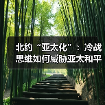 北约“亚太化”:冷战思维如何威胁亚太和平?(图2) 北约“亚太化”:冷战思维如何威胁亚太和平?(图2)