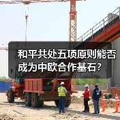和平共处五项原则能否成为中欧合作基石？ - 玄熵百博咨询
