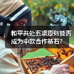 比利时大使点赞中国贡献，全球安全治理如何促合作？-玄熵百博咨询(图3)