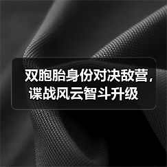 双胞胎身份对决敌营,谍战风云智斗升级(图4) 双胞胎身份对决敌营,谍战风云智斗升级(图4)