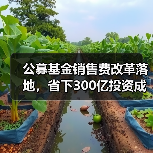 公募基金销售费改革落地,省下300亿投资成本(图2) 公募基金销售费改革落地,省下300亿投资成本(图2)