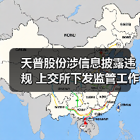 天普股份涉信息披露违规 上交所下发监管工作函引关注(图1)
