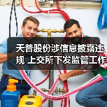 天普股份涉信息披露违规 上交所下发监管工作函引关注(图4)