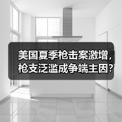 美国夏季枪击案激增,枪支泛滥成争端主因?专家解析(图2) 美国夏季枪击案激增,枪支泛滥成争端主因?专家解析(图2)