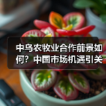 中乌农牧业合作前景如何？中国市场机遇引关注(图1)