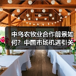 中乌农牧业合作前景如何？中国市场机遇引关注(图2)