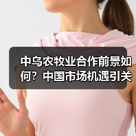 中乌农牧业合作前景如何？中国市场机遇引关注(图4)