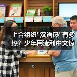 上合组织 上合组织汉语热升温背后:语言如何连接朋友圈?-玄熵百博咨询(图4)