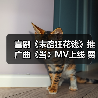 喜剧《末路狂花钱》推广曲《当》MV上线 贾冰小沈阳合唱引爆沈阳路演(图3) 《末路狂花钱》推广曲《当》引爆喜剧氛围,老铁狂欢照进现实?-玄熵百博咨询(图3)
