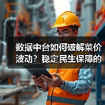 数据中台如何破解菜价波动?稳定民生保障的关键(图3) 数据中台如何稳住百姓菜篮子?-玄熵百博咨询(图3)