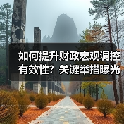 如何提升财政宏观调控有效性?关键举措曝光(图4) 财政政策如何助力中国式现代化?解读二十届四中全会精神-玄熵百博咨询(图4)