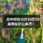 巴中经贸合作如何为拉美国家树立典范?(图4) 巴中经贸合作如何为拉美国家树立典范?(图4)