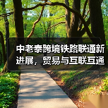 中老泰跨境铁路联通新进展，贸易与互联互通如何升级？