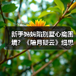 新手妈妈陷别墅心魔困境？《陪月疑云》细思极恐