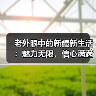 老外眼中的新疆新生活:魅力无限,信心满满(图3) 老外眼中的新疆新生活:魅力无限,信心满满(图3)