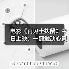电影《再见土拨鼠》今日上映:一部触动心灵的生态童话(图4) 电影《再见土拨鼠》今日上映:一部触动心灵的生态童话(图4)