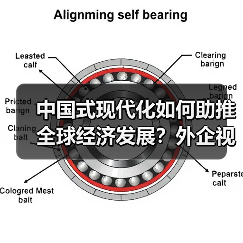 中国式现代化如何助推全球经济发展？外企视角解析